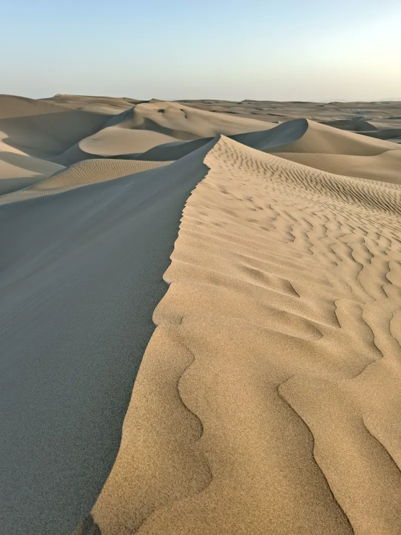 Cresta de una duna en el Desierto California